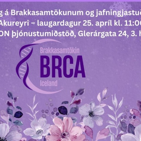 Kynning á Brakkasamtökunum og jafningjastuðningur