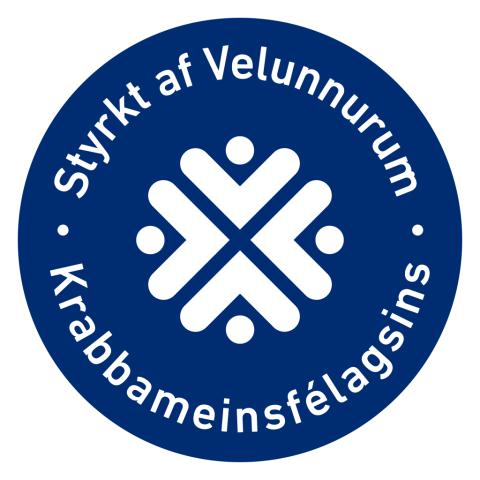 Heilinn og hamingjan - Erindi