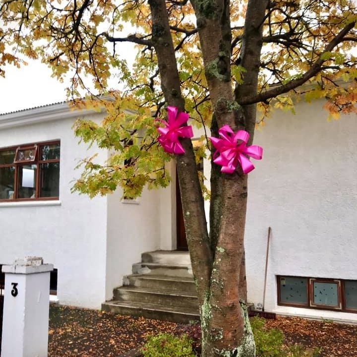 Bleikar slaufur víða um bæinn - mynd af síðu Dekurdaga