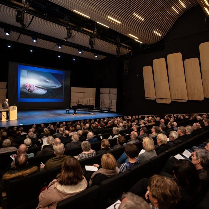 kaon_malthingakureyri_120