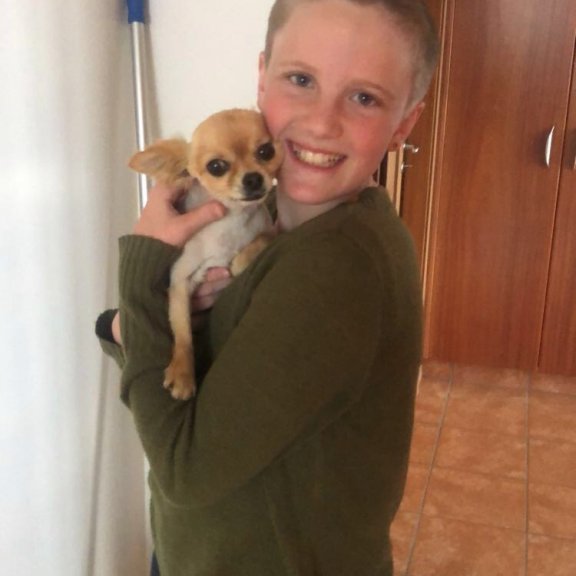 Heimilishundurinn Óliver fékk líka klippingu