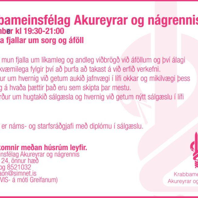 Fyrirlestur miðvikudaginn 2.nóvember