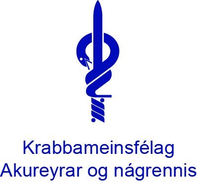Aðalfundur KAON var haldinn þriðjudaginn 23. apríl 2019