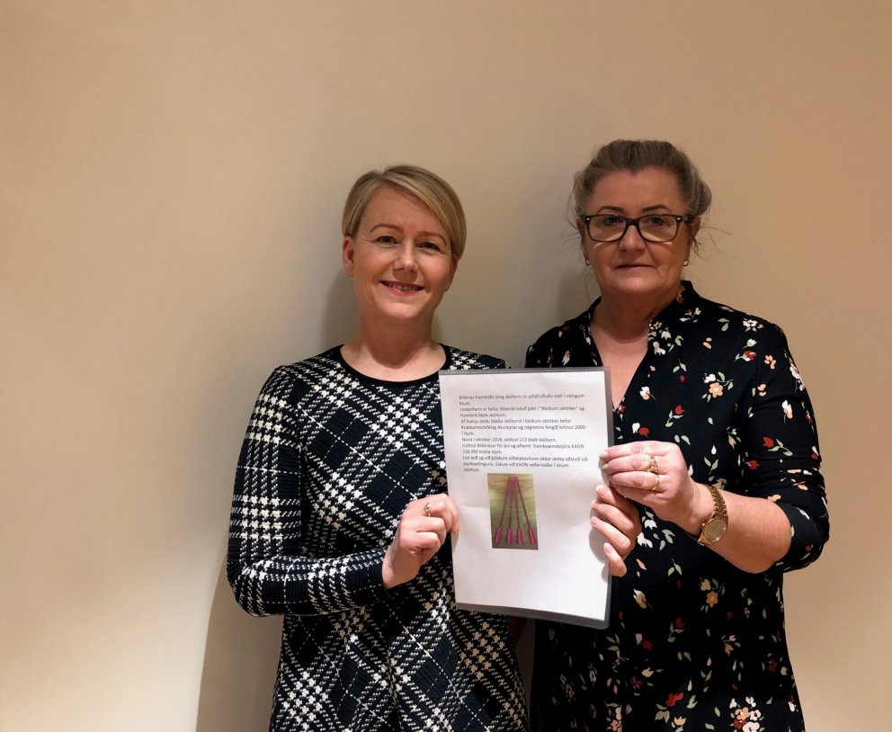 Bleik skóhorn – Blikkrás