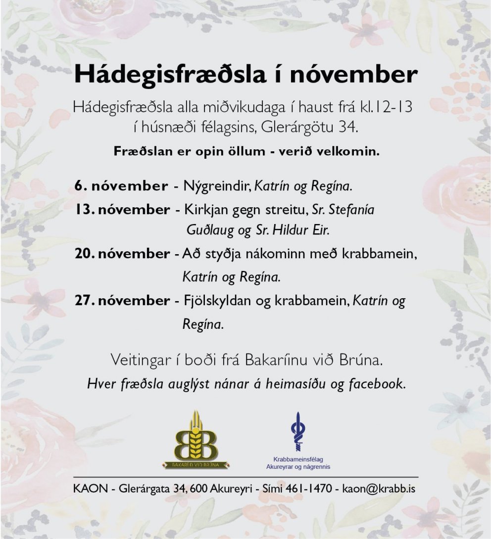 Hádegisfræðsla í nóvember - dagskrá