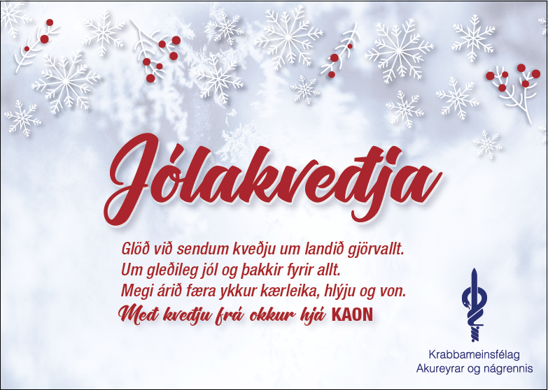 Starfsemi yfir jólin hjá KAON