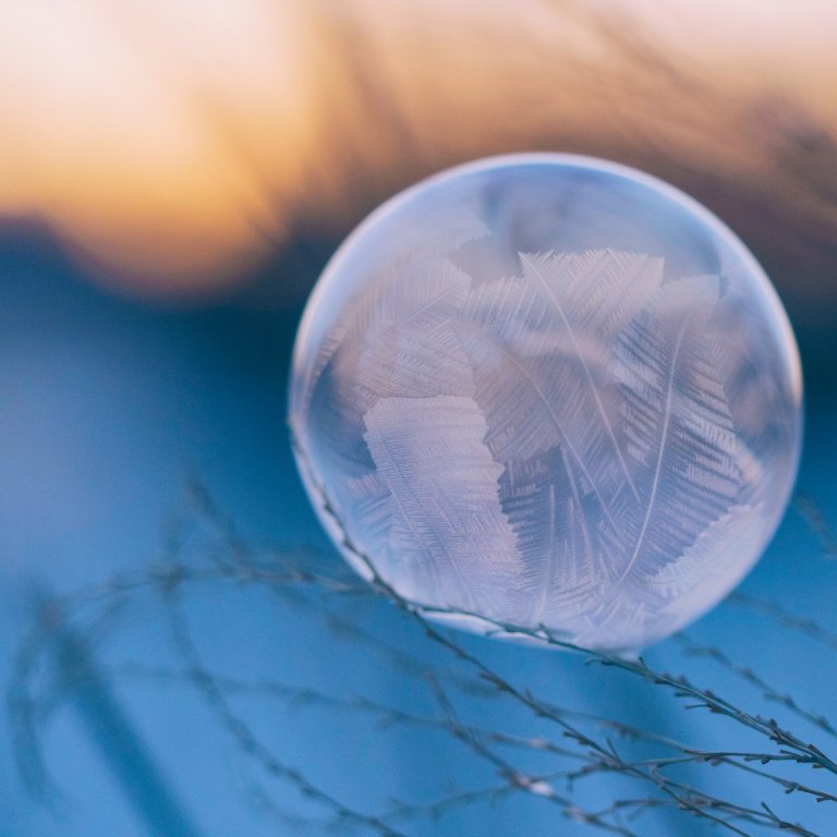 Starfsemi félagsins næstu daga