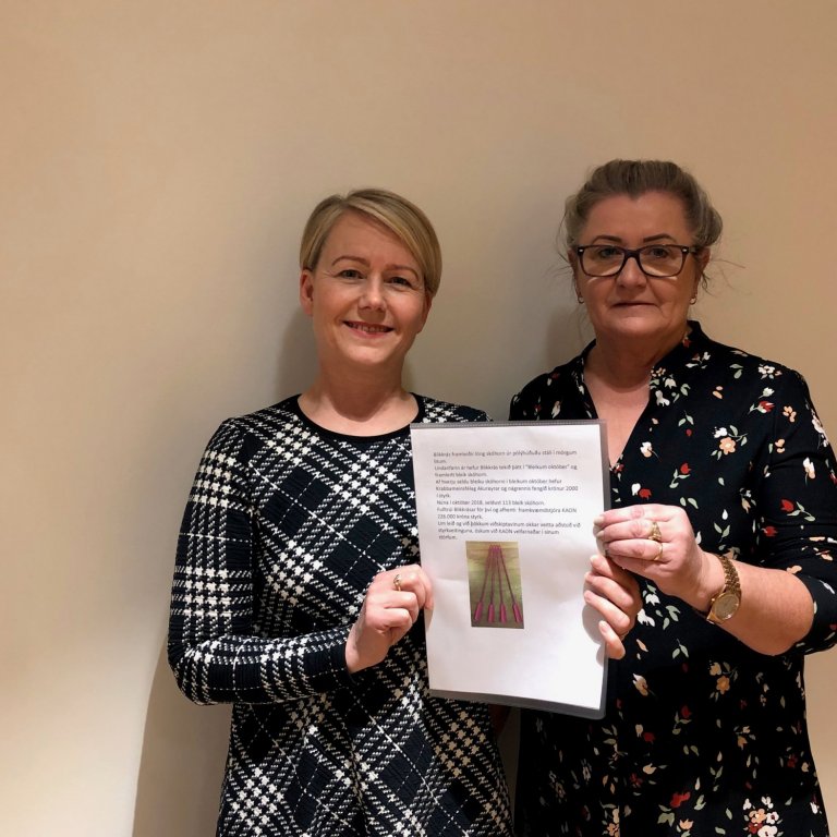 Bleik skóhorn – Blikkrás