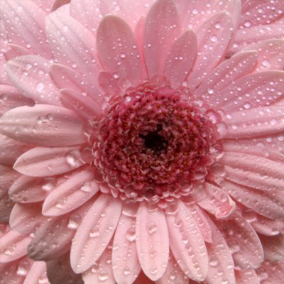 Brúðhjón gáfu Krabbameinsfélagi Akureyrar og nágrennis gjöf