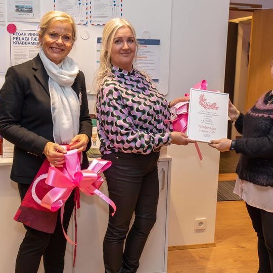 Styrkir sem við fengum í lok árs 2021