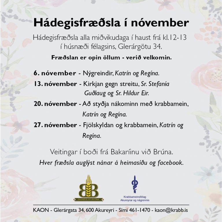 Hádegisfræðsla í nóvember - dagskrá