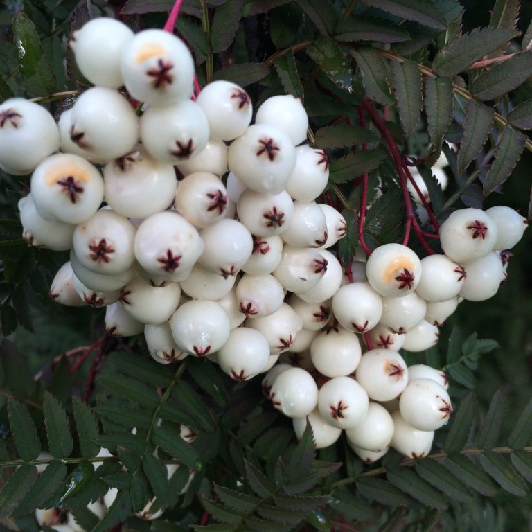 Opnum aftur í dag eftir sumarfrí.