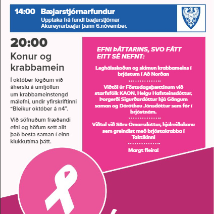 Bleikur október á N4 - klukkutíma þáttur