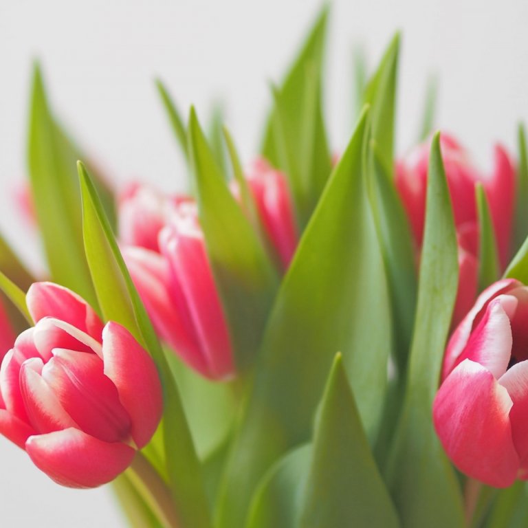 Kveðja frá starfsfólki